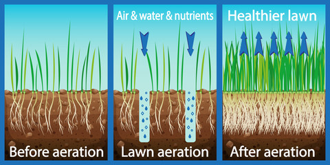 lawn aeration in IN